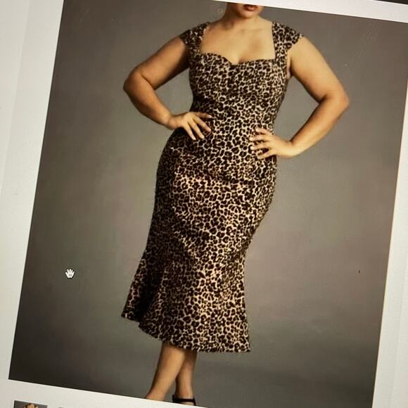 Anthropologie The Cecily Midi Dress Womens XS Brown Tan Animal Print Fit & Flare - Picture 1 of 9